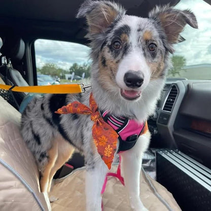 🐾 2-in-1 Dog Car Seat Belt & Walking Leash — Adjustable Pet Travel Restraint for Safer Car Rides