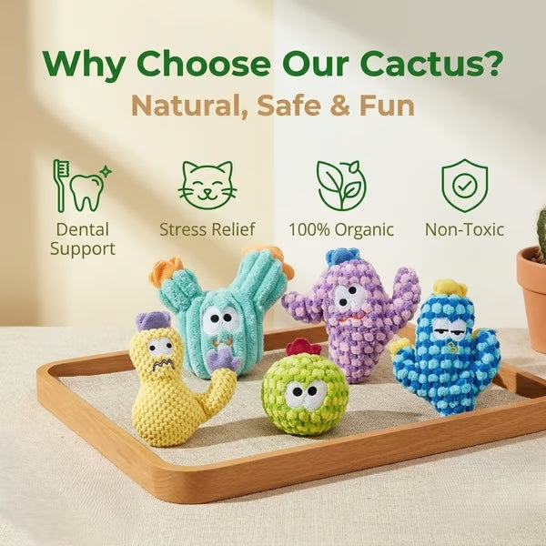 🎁🔥5pc Handmade Soft Cactus Kitten Chew Toys with Natural Catnip