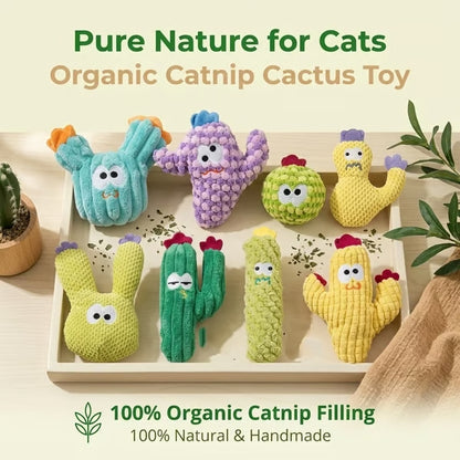 🎁🔥5pc Handmade Soft Cactus Kitten Chew Toys with Natural Catnip