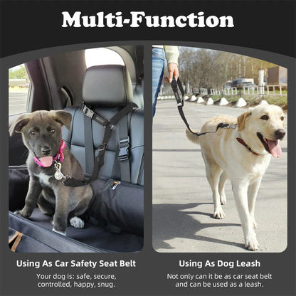🐾 2-in-1 Dog Car Seat Belt & Walking Leash — Adjustable Pet Travel Restraint for Safer Car Rides