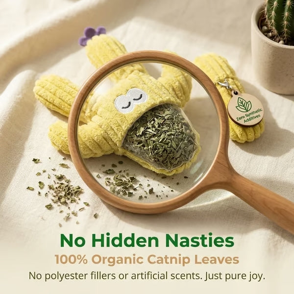 🎁🔥5pc Handmade Soft Cactus Kitten Chew Toys with Natural Catnip