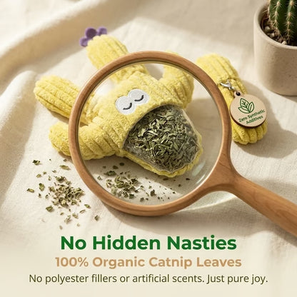 🎁🔥5pc Handmade Soft Cactus Kitten Chew Toys with Natural Catnip