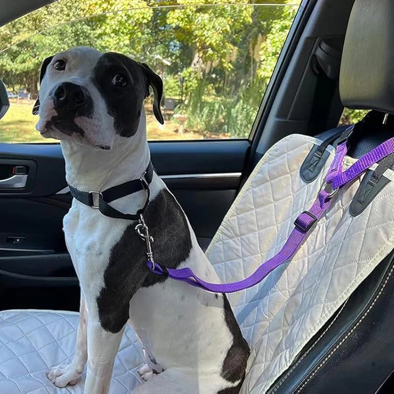🐾 2-in-1 Dog Car Seat Belt & Walking Leash — Adjustable Pet Travel Restraint for Safer Car Rides
