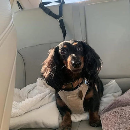 🐾 2-in-1 Dog Car Seat Belt & Walking Leash — Adjustable Pet Travel Restraint for Safer Car Rides