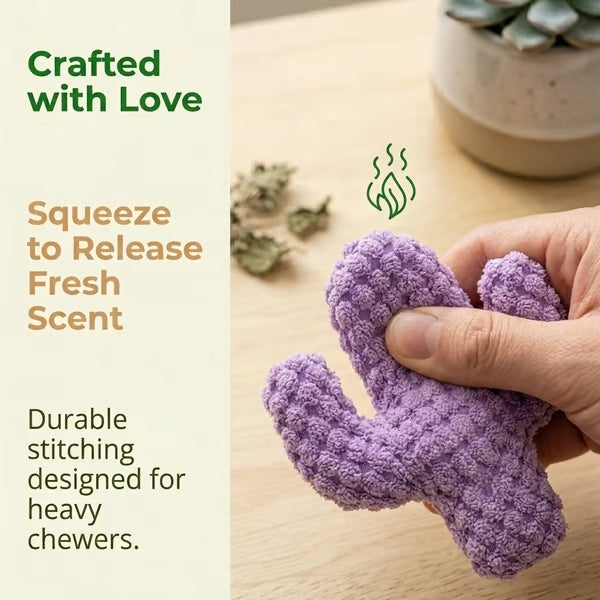 🎁🔥5pc Handmade Soft Cactus Kitten Chew Toys with Natural Catnip
