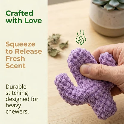 🎁🔥5pc Handmade Soft Cactus Kitten Chew Toys with Natural Catnip
